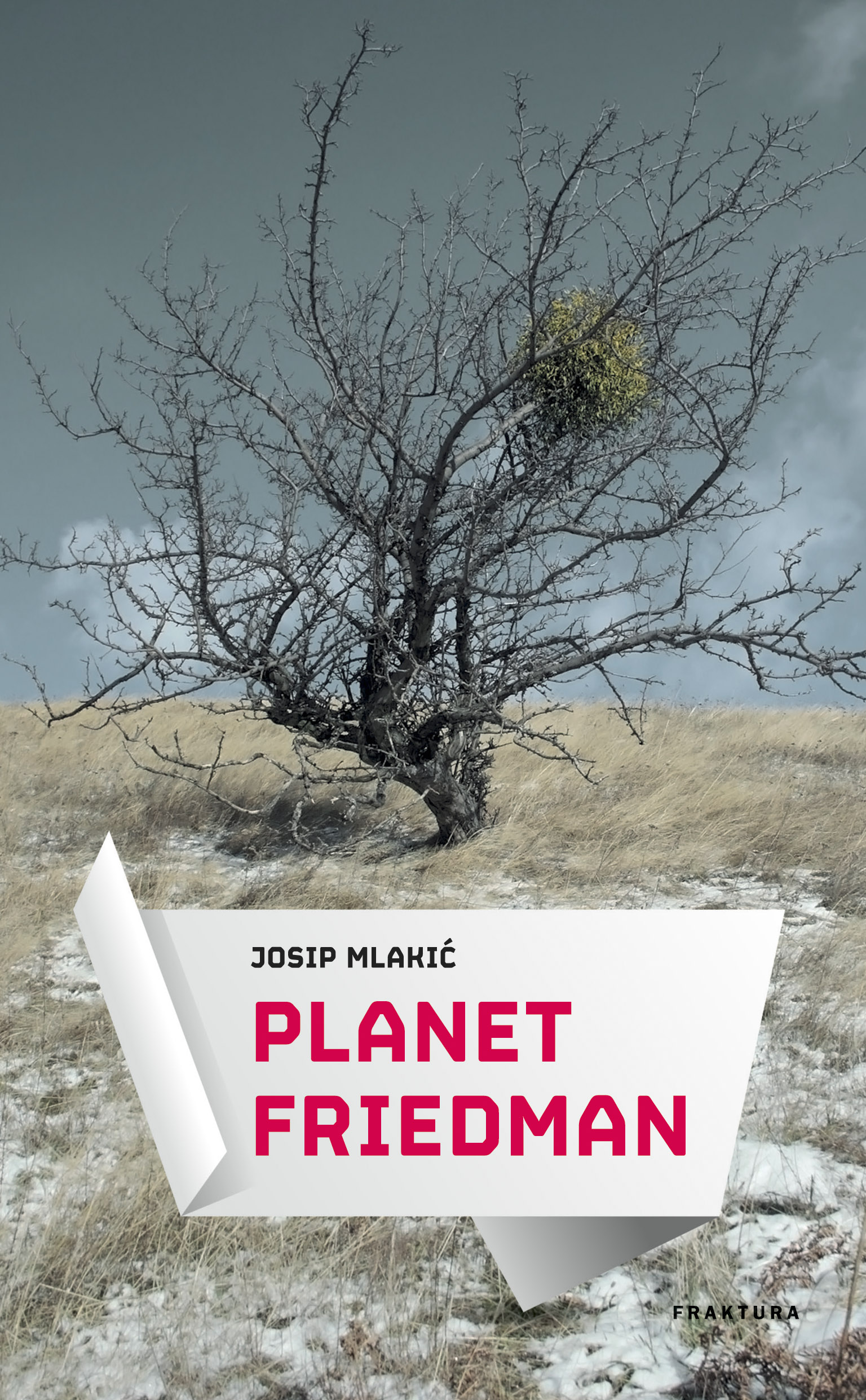 planet_friedman_300dpi